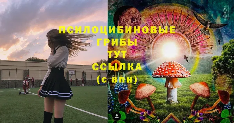 Псилоцибиновые грибы MAGIC MUSHROOMS  Лангепас 